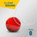 Cricket Ball Wireless Sports Speaker