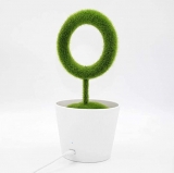 Natural Air Purifier